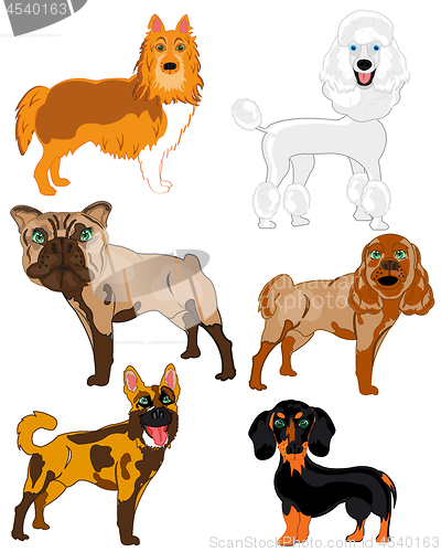 Image of Vector illustration of the dogs of the varied sorts