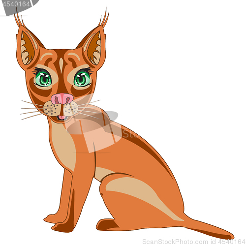 Image of Steepe trot caracal on white background is insulated