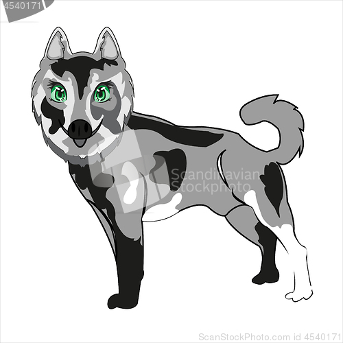 Image of Vector illustration of the dog of the sort husky