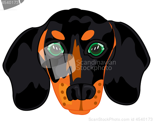 Image of Vector illustration of the portrait of the dog dachshund