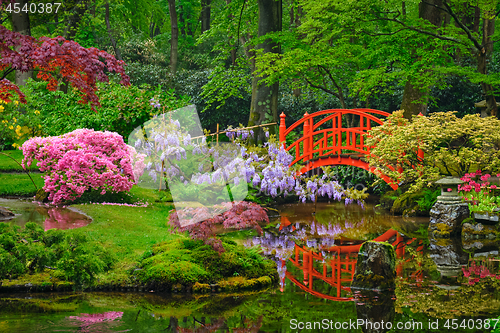 Image of Japanese garden, Park Clingendael, The Hague, Netherlands