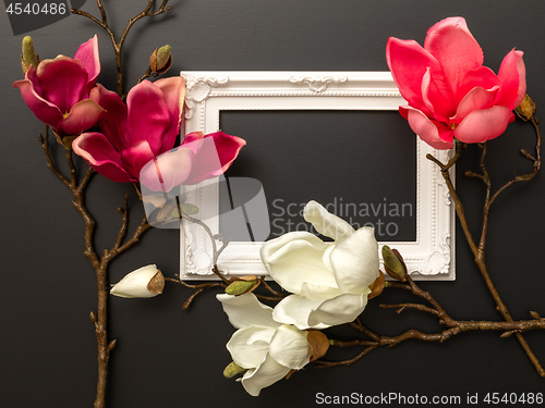 Image of some magnolia flowers on a black background