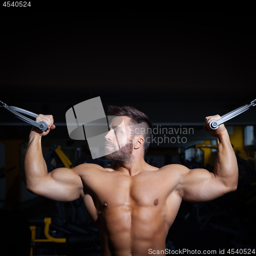 Image of handsome bearded bodybuilding man