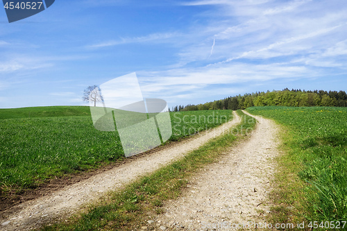 Image of path in a green meadow nature scenery landscape