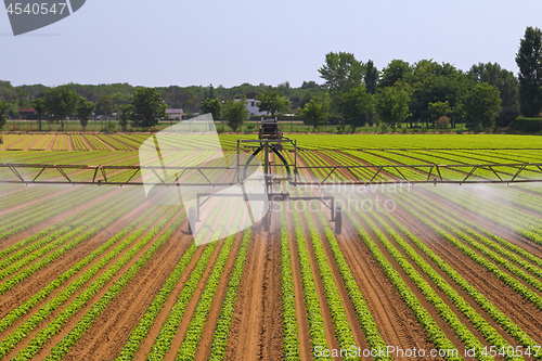 Image of Field Irrigation