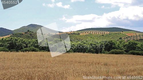 Image of Greece Landscape