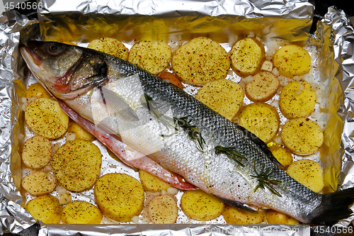 Image of Bass