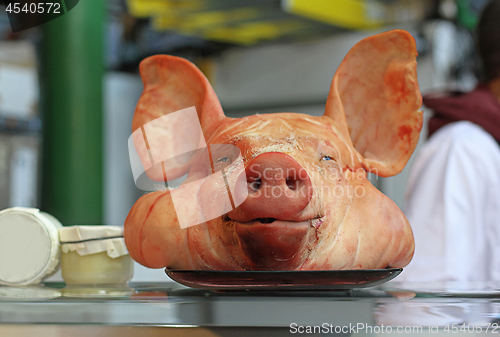 Image of Big Pig Head