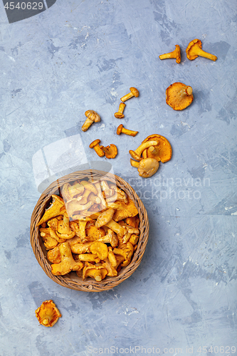 Image of Raw forest mushrooms chanterelles in a basket.