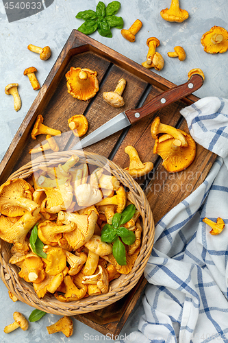 Image of Wild chanterelles in a wicker basket close-up.