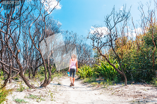 Image of Female walking through burnt bushland that has not regenerated