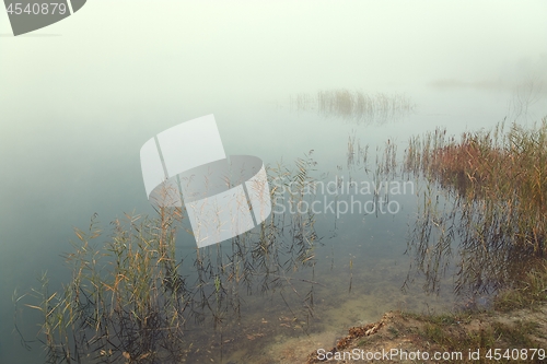 Image of Fog on the lakeside