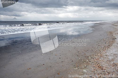 Image of Pacific Ocean and sandy coast with rare shells