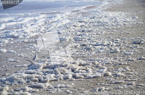 Image of Sea foam on the coast at Pacific Ocean