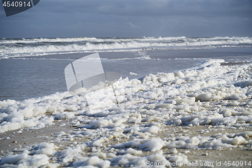 Image of Sea foam on the coast at Pacific Ocean