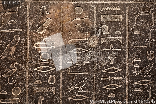 Image of Ancient Hieroglyphic Script