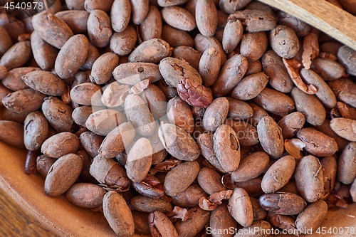 Image of Cocoa beans picked by hand