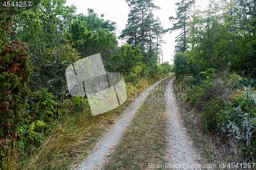 Image of Narrow gravel road in the countryside by summer season