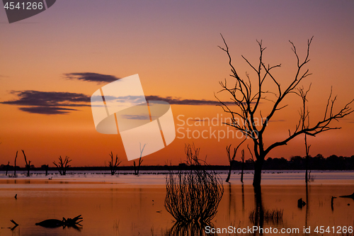 Image of Silhouettes on the lake outback sunset