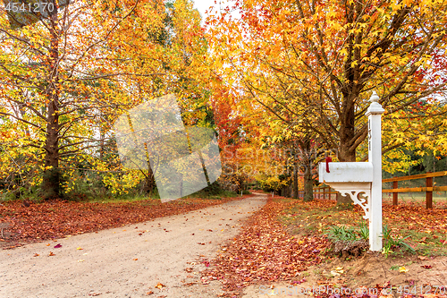 Image of Shades of autumn in countryside village