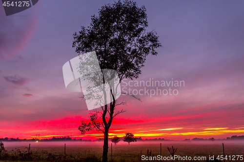 Image of Red dawn skies across rural fields in Australian countryside