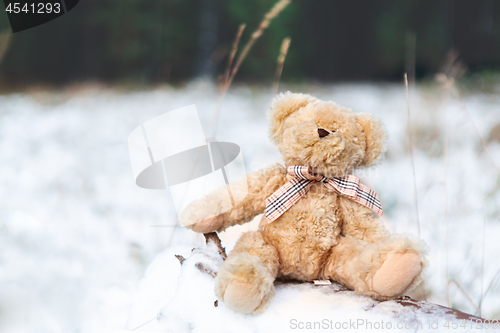 Image of Teddy bear on a snow covered log in winter