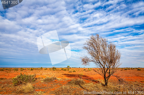 Image of Australian outback landscape