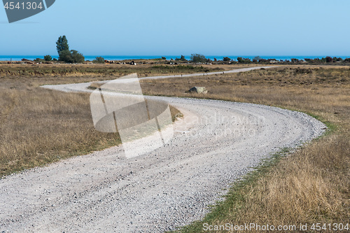 Image of Winding dirt road in a dry grassland at the swedish island Oland