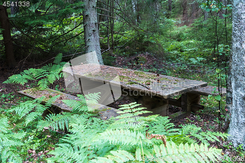 Image of Old mossy resting place deep in a forest