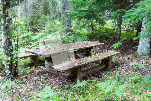 Image of Old weathered furniture by a resting place in a forest
