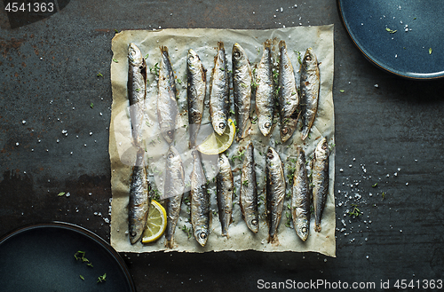 Image of Sardines fish