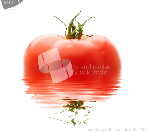Image of Fresh Red Tomato