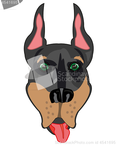 Image of Vector illustration of the mug of the dog doberman