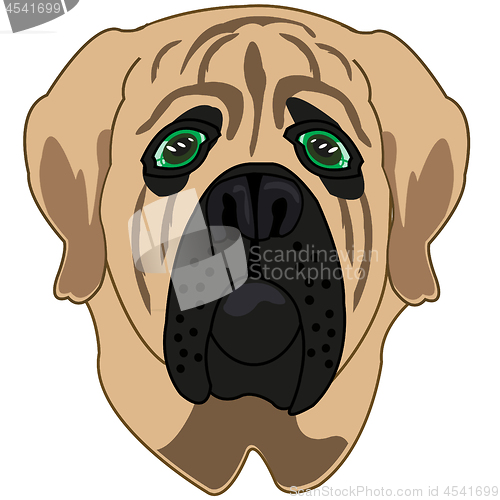 Image of Vector illustration of the cartoon of the mug of the dog mastiff