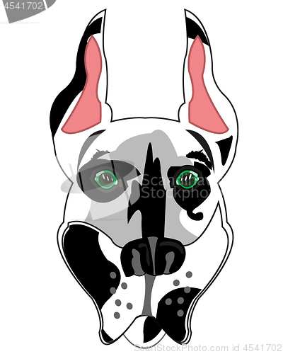 Image of Vector illustration of the mug of the dog spotted doberman