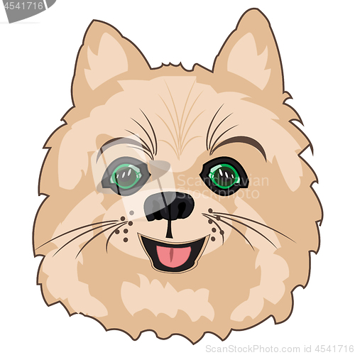 Image of Vector illustration of the portrait of the dog spitz