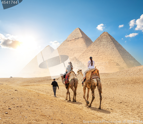 Image of Camels in sandy desert