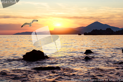 Image of Sunset in adriatic sea