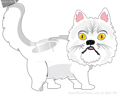 Image of Persian cat on white background is insulated