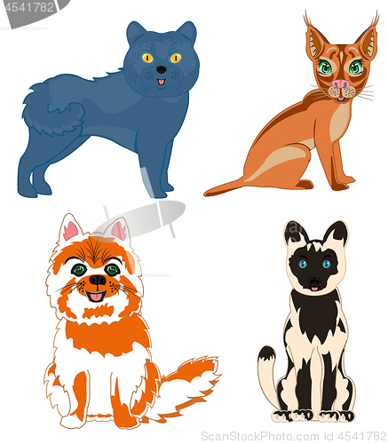 Image of Vector illustration pets cat of the varied sorts