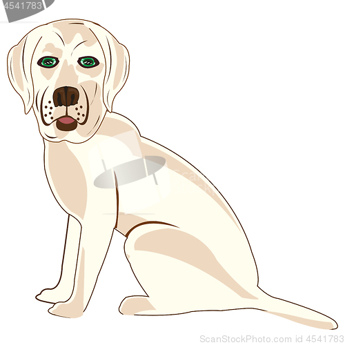 Image of Vector illustration of the dog of the sort labrador