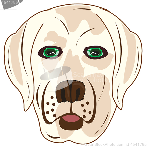 Image of Vector illustration of the mug of the dog labrador
