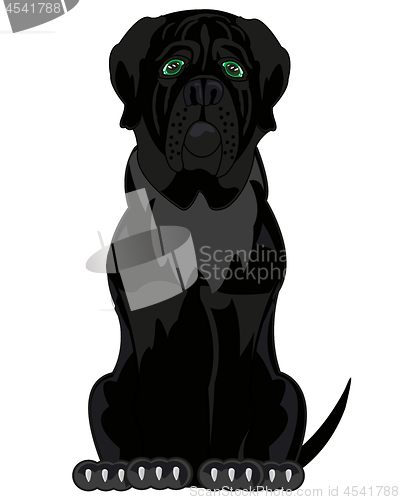Image of Vector illustration of the cartoon of the black dog mastiff