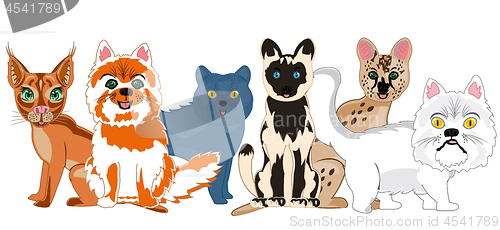 Image of Vector illustration of the cartoon pets sorts cat