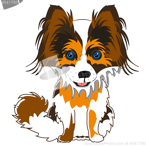 Image of Dog papillon on white background is insulated