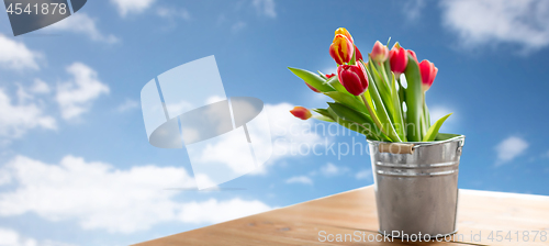 Image of red tulip flowers in tin bucket on table