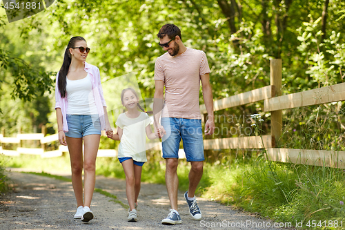 Image of happy family walking in summer park