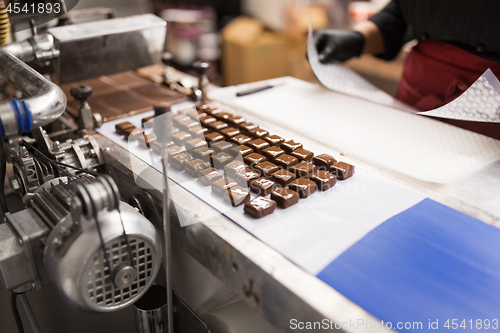 Image of chocolate candies on conveyor at confectionery