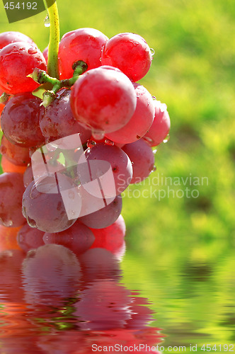 Image of Red grapes