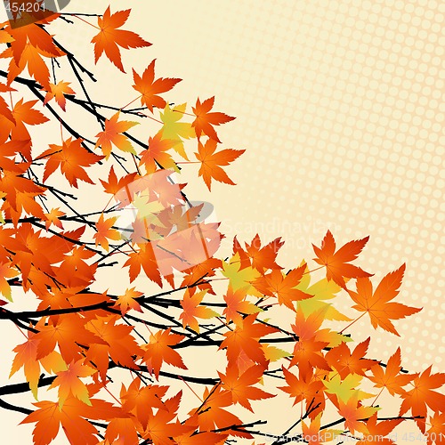 Image of autumn leaves
